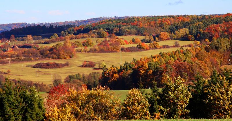 Podzimní kopcovitá krajina s lesy a loukami