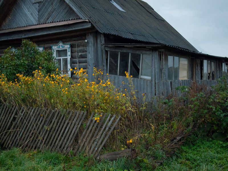Zarostlá zahrada u starého dřevěného domu