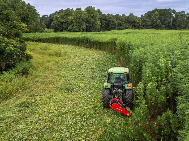 Traktor s mulčovačem v hustém porostu